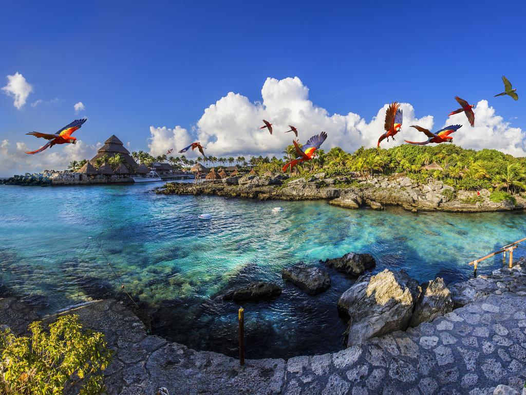 Hotel Occidental At Xcaret Destination Playa del Carmen Exterior foto Parrots at Xel-Há